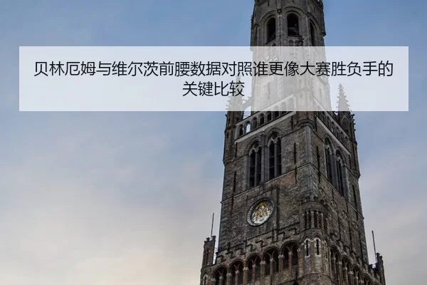 贝林厄姆与维尔茨前腰数据对照谁更像大赛胜负手的关键比较