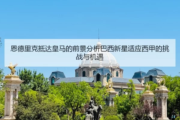 en-de-li-ke-di-da-huang-ma-de-qian-jing-fen-xi-ba-xi-xin-xing-shi-ying-xi-jia-de-tiao-zhan-yu-ji-yu-2-573.jpg