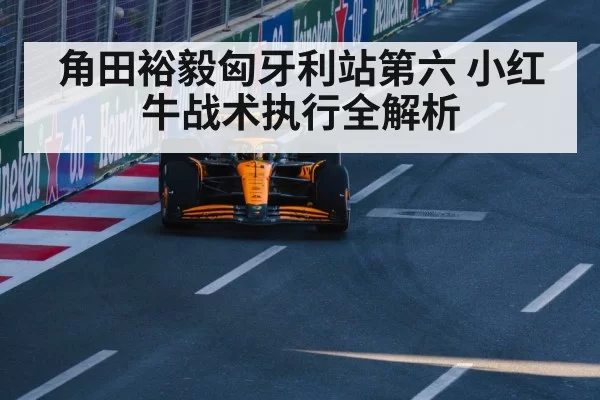 角田裕毅匈牙利站第六 小红牛战术执行全解析